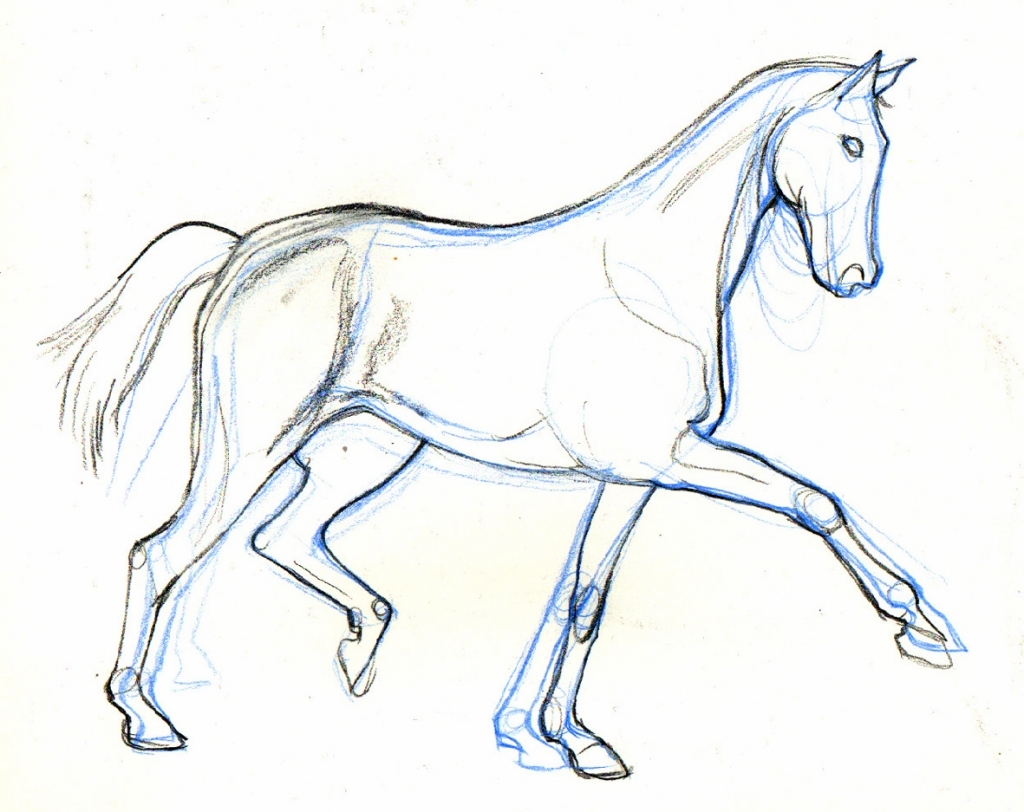 Tuto Cheval Easy Drawings Drawing Lessons For Kids Dr - vrogue.co