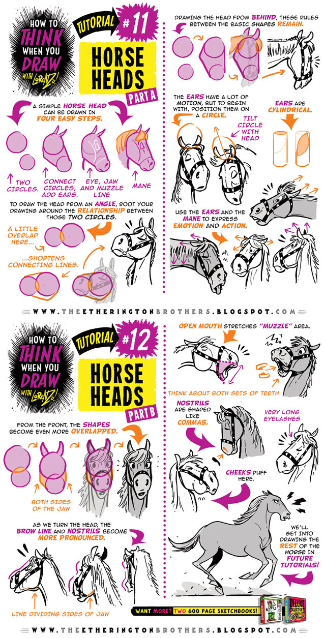 637x1255 How To Draw Horses + Horse Heads Tutorial By Studioblinktwice