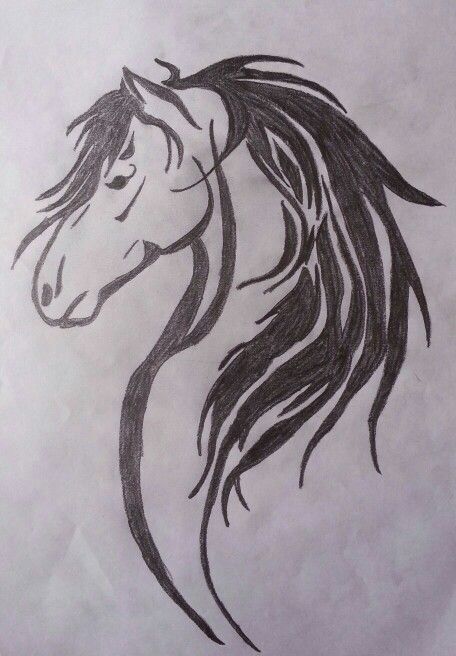 456x656 Collection Of A Horse Head Tattoo