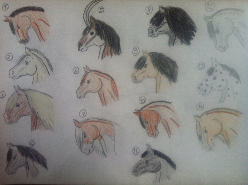 1034x772 Horse Head Adopts, Draw Or Points 3 Left By Nikkiiq