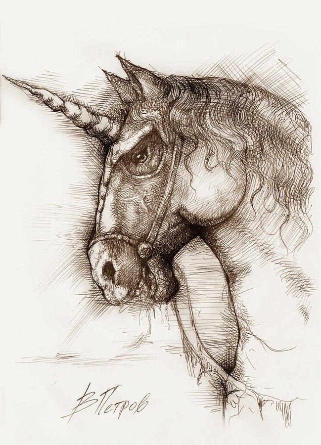 649x900 Horse Head Drawing By Vladimir Petrov