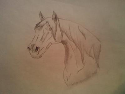 400x300 Horse Head Drawing
