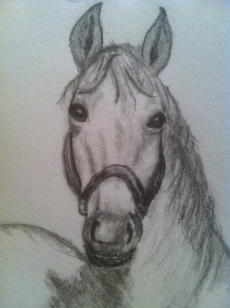 764x1024 Horse Head Pencil Drawings Pencil Study Horse Head Piroscsizma