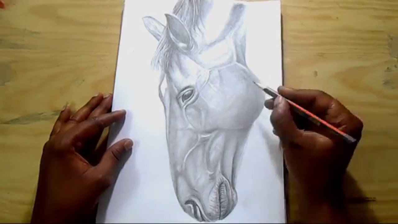 1280x720 How To Draw Horse How To Draw Horse Head How To Draw Horses