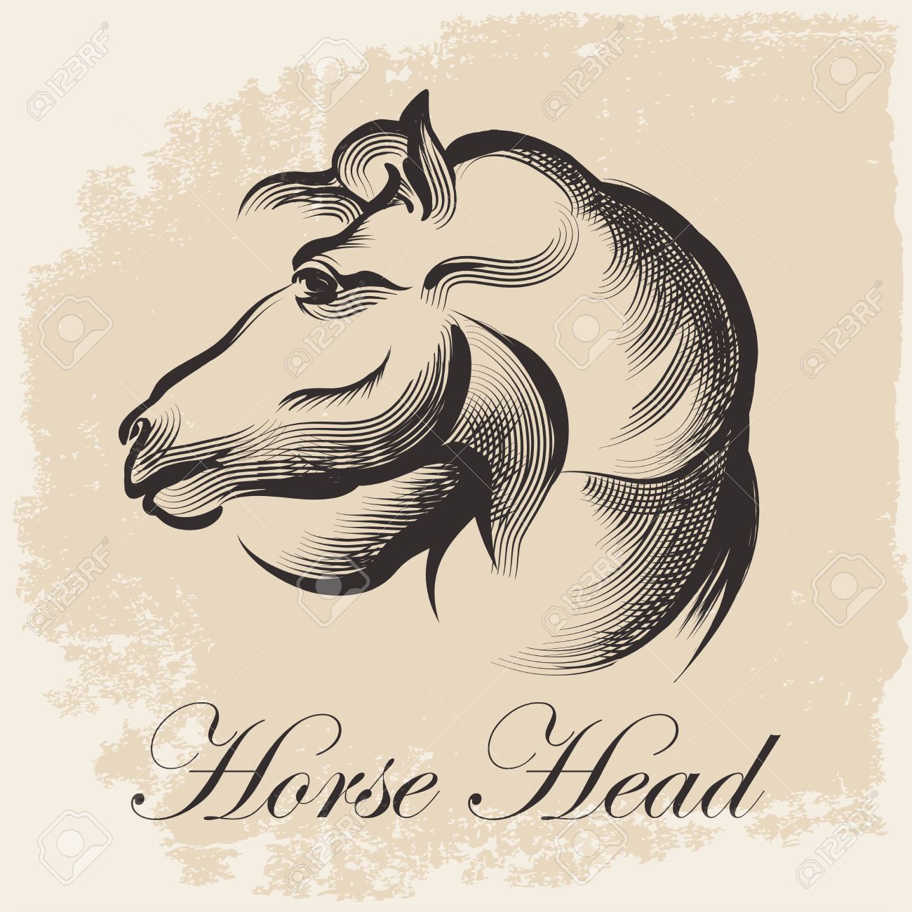 1300x1300 Sketch Of Horse Head Drawing In Retro Ink Style Royalty Free