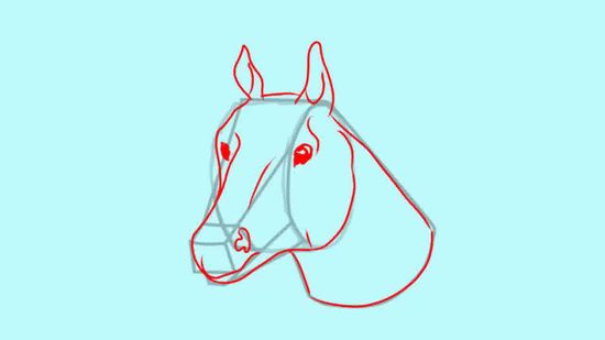 550x309 How To Draw A Horse Head 15 Steps (With Pictures)