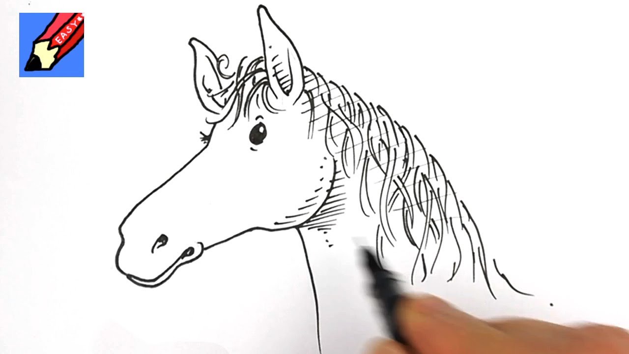 1280x720 How To Draw A Horse's Head Real Easy