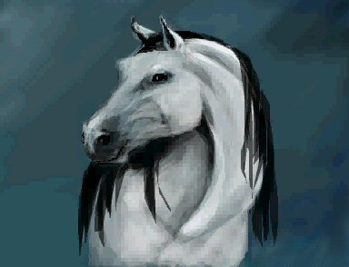 384x294 Animal Drawing Tutorial