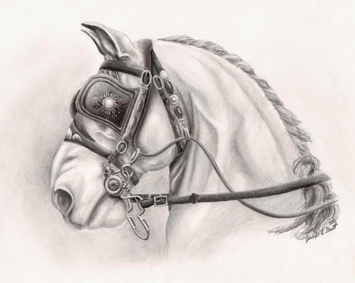 1200x956 Horses Amp Art Horse Art Gallery And Demonstrations