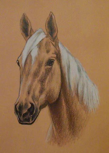 360x504 Quarter Horse Head Drawing Completed Commissions Horses