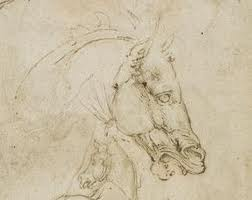 252x200 Drawing Horse Heads The Main Planes Of The Head Art2art