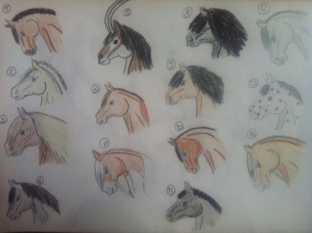 1280x956 Horse Head Adopts, Draw Or Points 3 Left By Nikkiiq