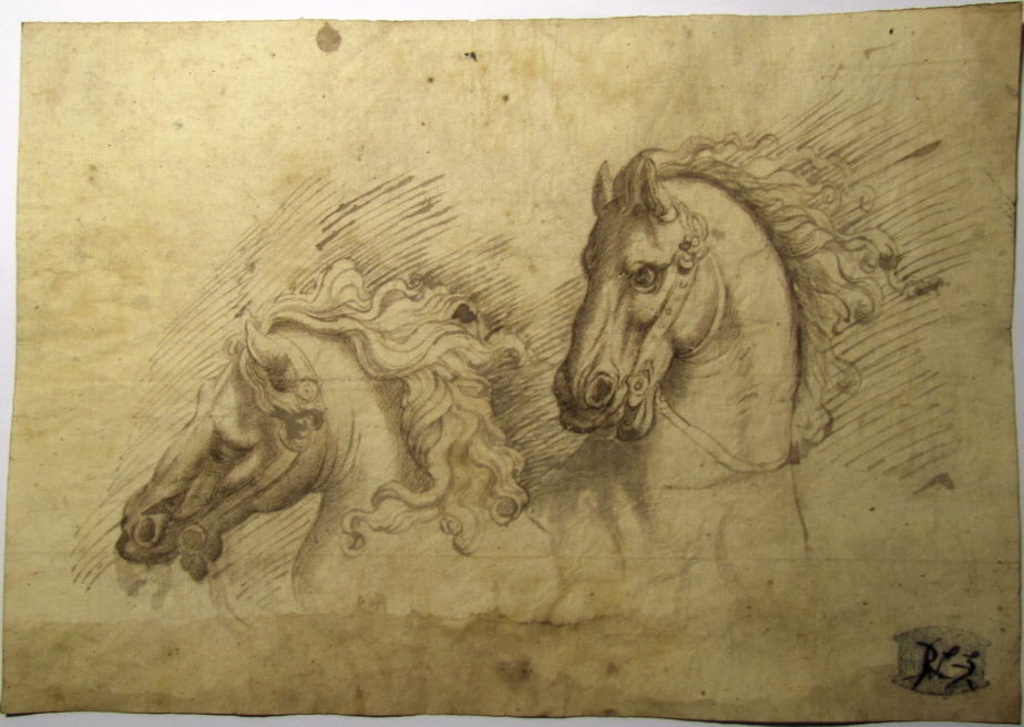 924x656 Magnificent Horse Heads Study Italian 17c, Old Master Ink Drawing