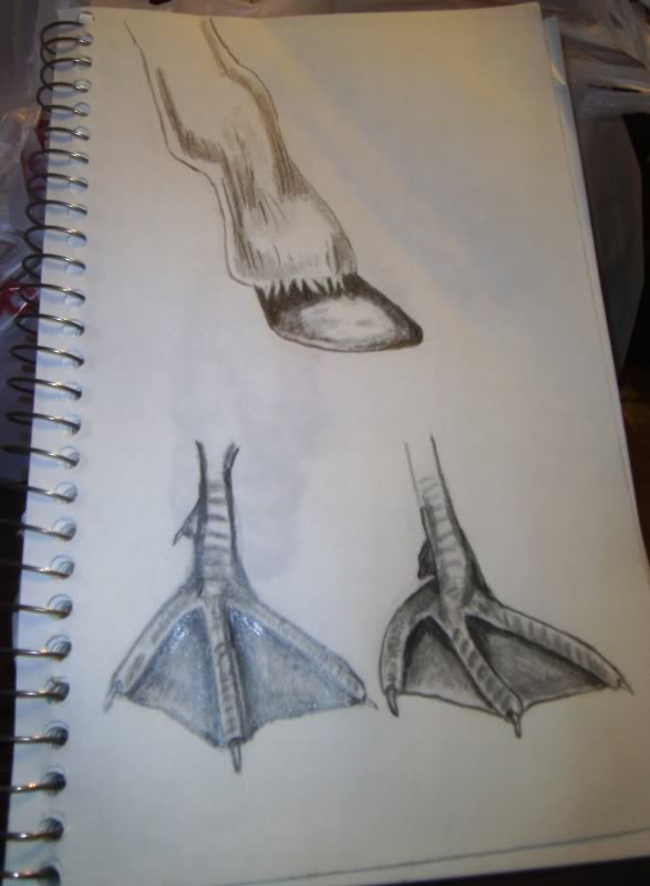 587x800 Drawing Duck Feet And Horse Hoof Pencil By Boardermiah