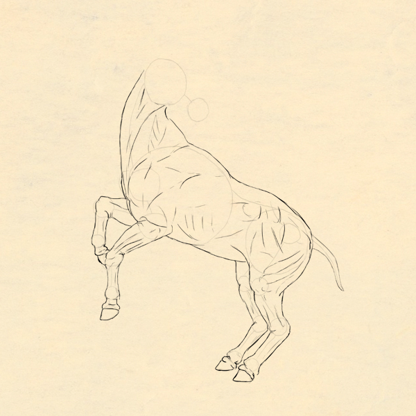 600x600 How To Draw Animals Horses, Their Anatomy And Poses