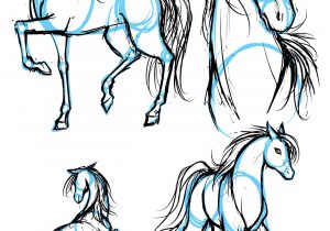 300x210 Anime Horse Drawings 12. How To Draw Anime Horses