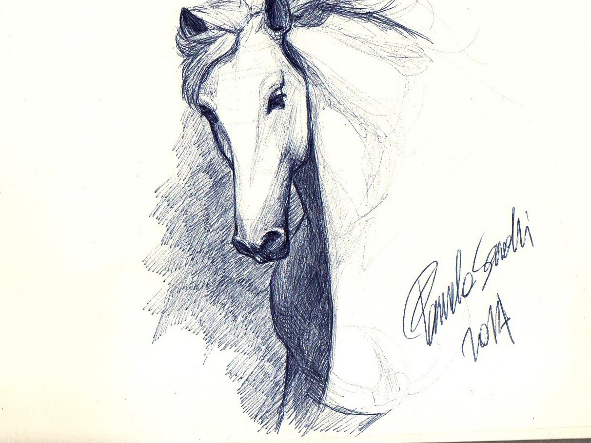 1212x909 Drawn Horse Pen Drawing