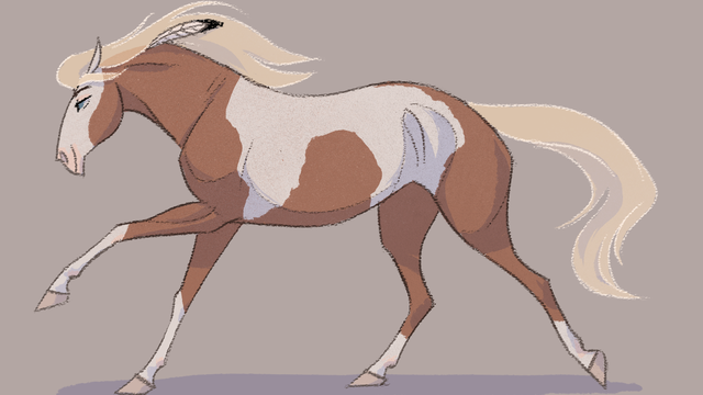 640x360 Daily Horse Drawings Tumblr