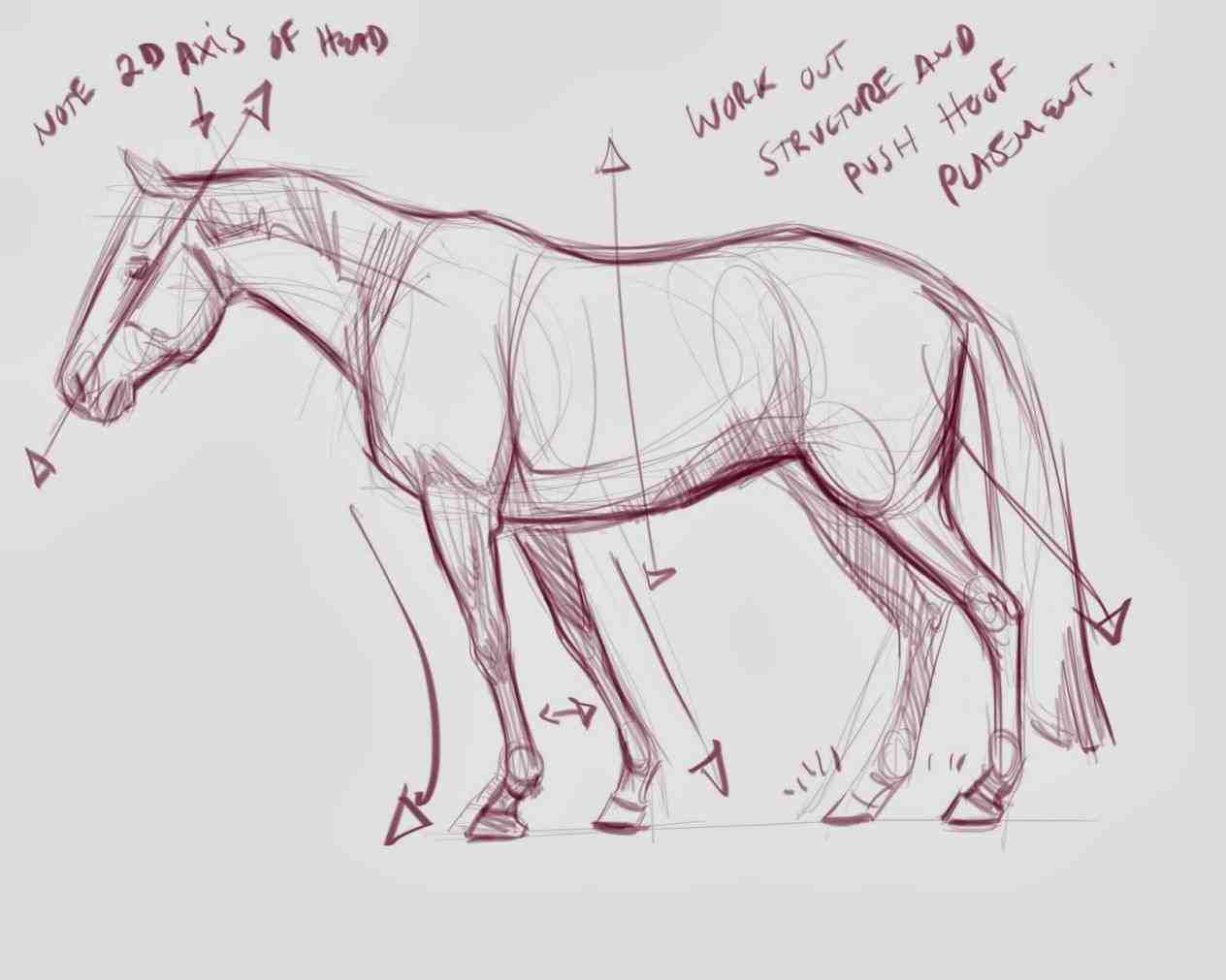 1264x1011 Horse Drawing Pictures