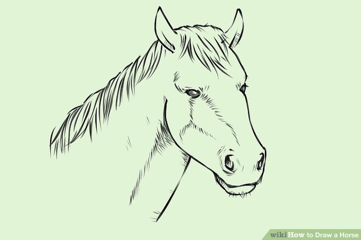 728x485 4 Ways To Draw A Horse