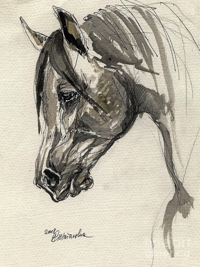 672x900 Grafik Polish Arabian Horse Ink Drawing Drawing By Angel Ciesniarska