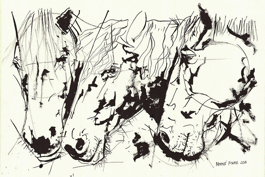 900x602 Three Horse Heads Ink Drawing Painting By Morne Fourie
