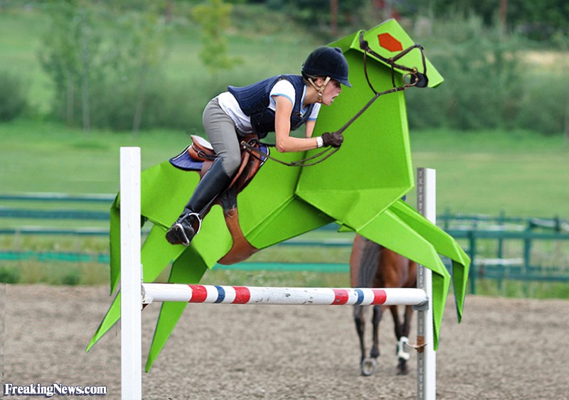 800x563 Origami Horse Jumping Pictures