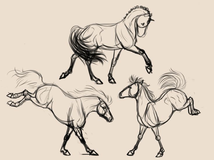 736x552 Jump Down Horse Sketch