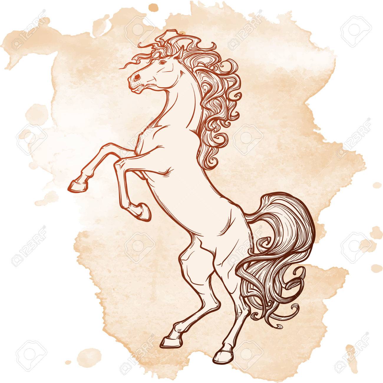 1300x1300 Rearing Horse With Curly Tail And Mane. Horse Stood Up On It'S