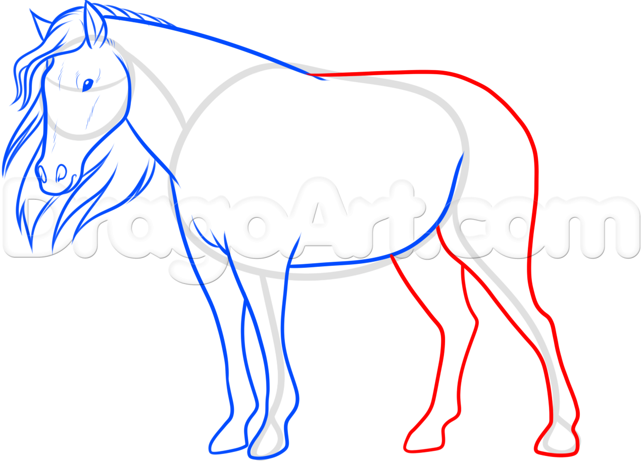1273x914 How To Draw A Horse For Beginners Step 9 Drawing Tips