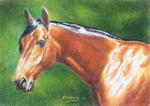 600x425 How To Draw A Horse In Miniature With Colored Pencils Finishing