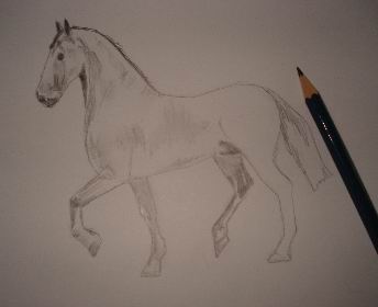 344x280 Pencil Drawing Of A Horse