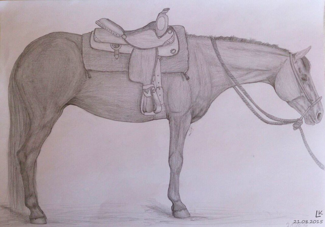 1068x747 Quarter Horse Mare Drawing By Liloli1997ger