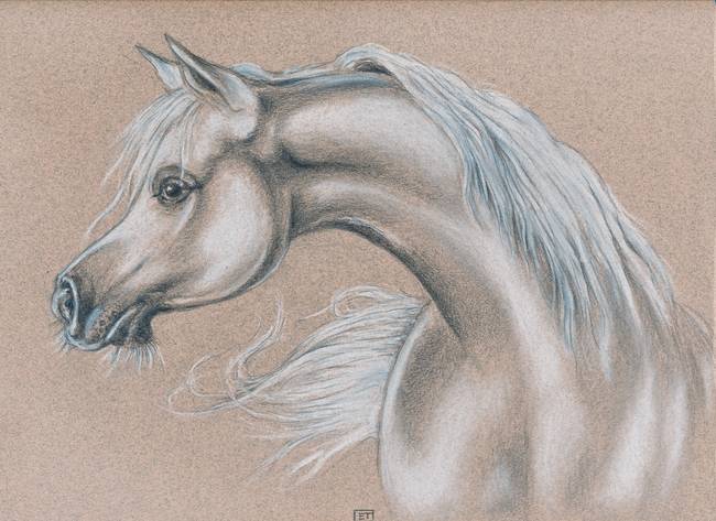 650x473 Stunning Horse Pencil Drawings And Illustrations For Sale