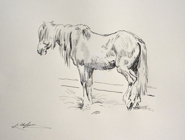 650x494 An Old Horse (Levon)