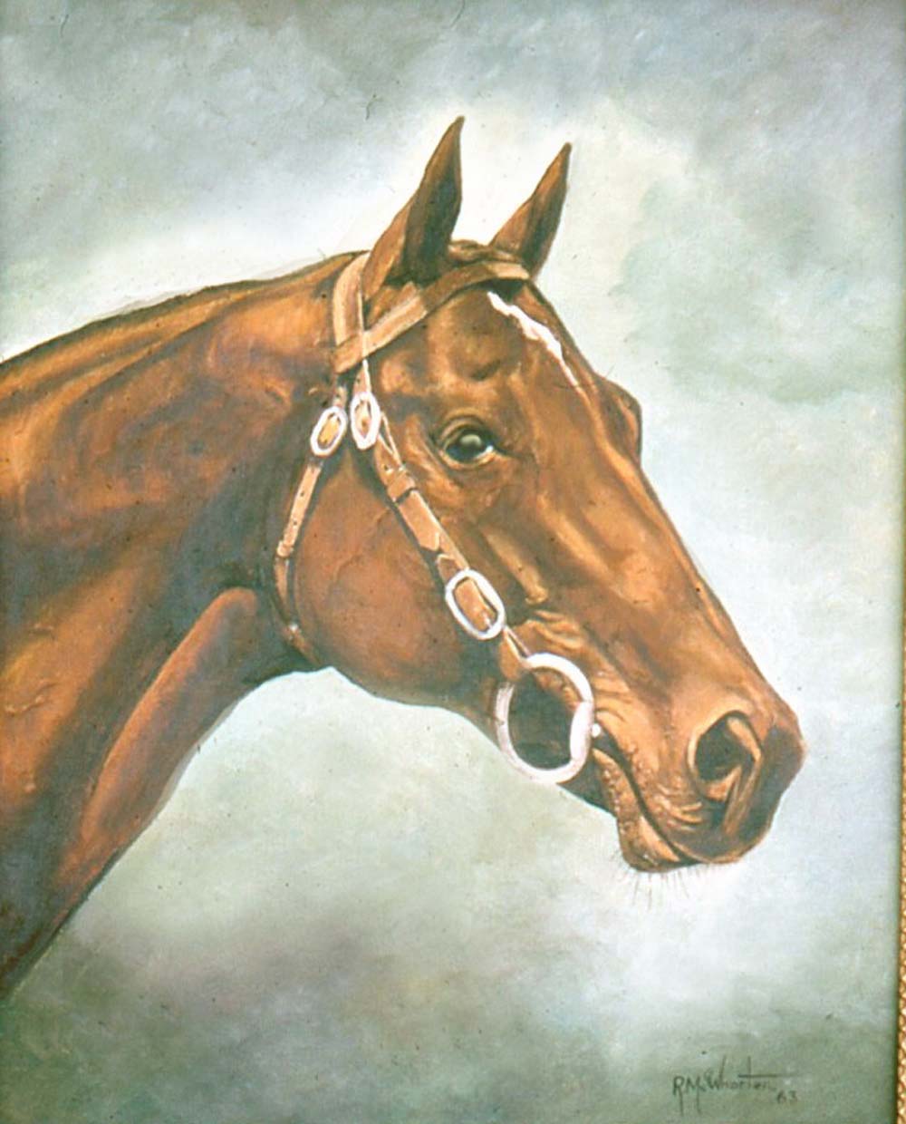 1000x1240 Horse Portrait My Texas Mornings