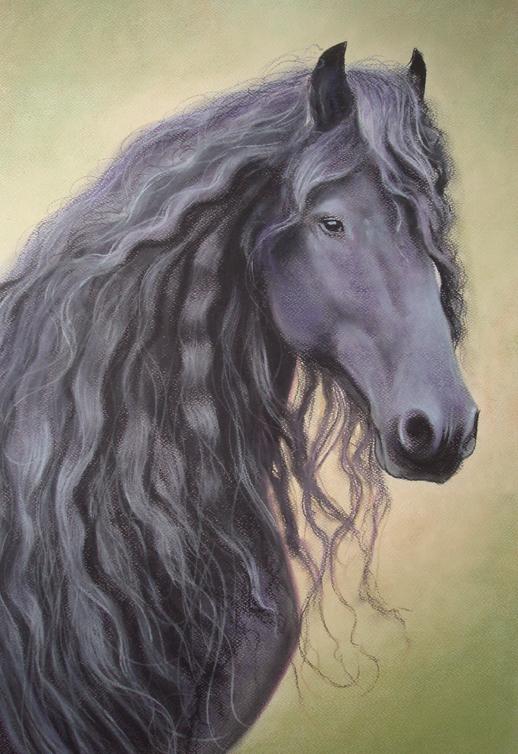 518x754 Horse Portrait Friesian Pastel By Pastelizator