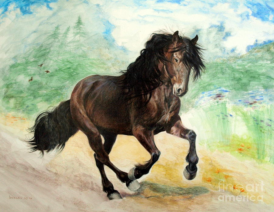 900x697 Portrait Of Phantom Canadian Horse Drawing By Jill Iversen