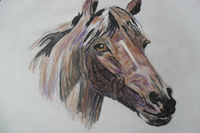 770x513 Saatchi Art Horse Portrait Drawing By Margaret L Laws