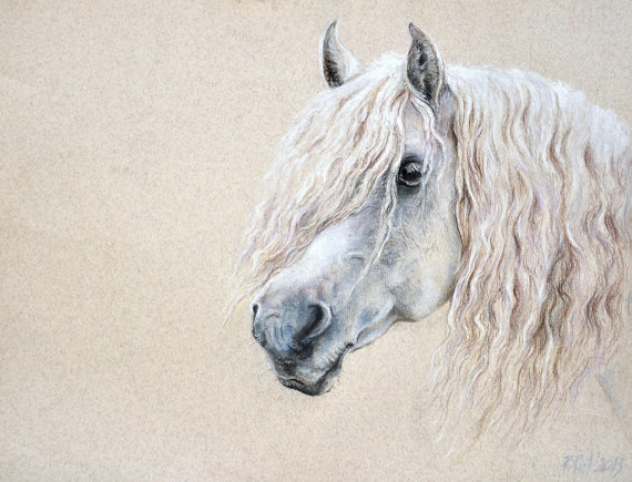 570x435 White Horse Portrait, Original Pastel Drawing, Large Size, White
