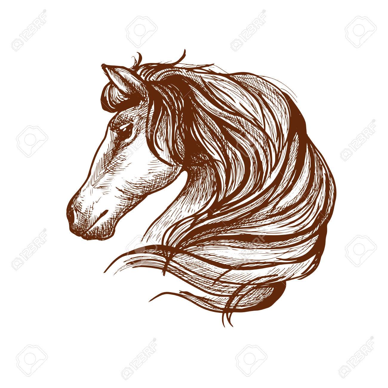 1300x1300 Graceful Horse Engraving Sketch Icon With Profile Of Purebred