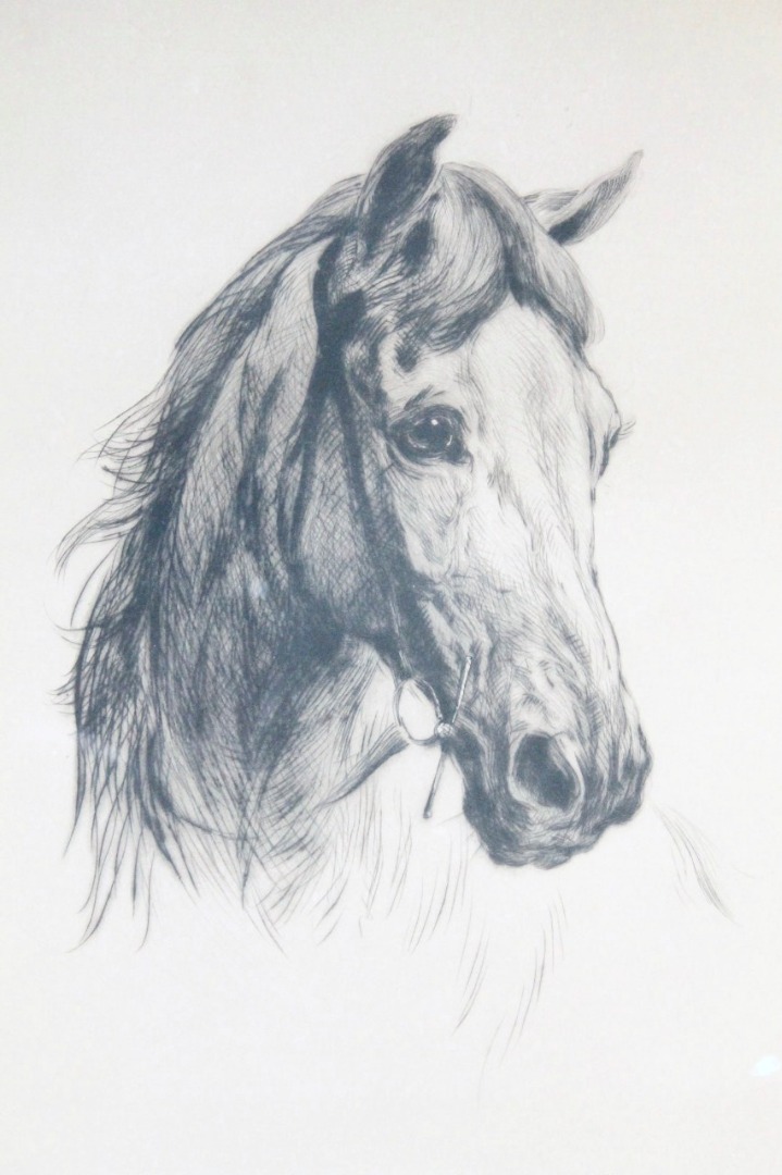 719x1080 Heywood Hardy (1842 1933). Horses Head Profile