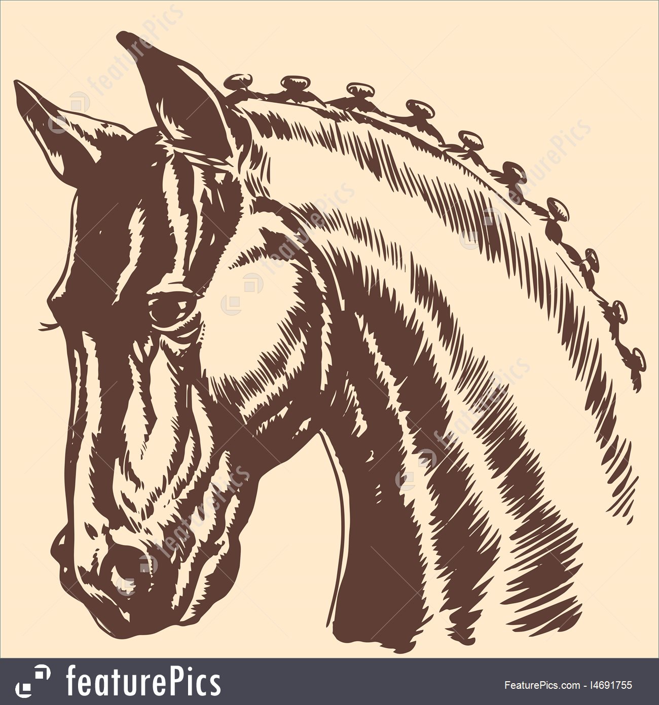 1300x1392 Illustration Of Thoroughbred Horse Head Profile Racing Exhibition Mane