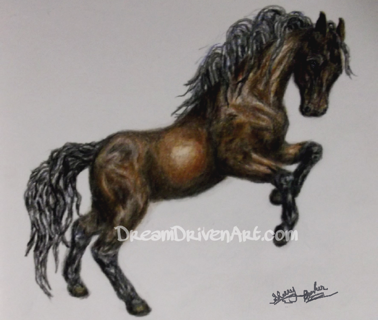 767x650 Horse Rearing Up Colored Pencil Drawing Dream Driven Art