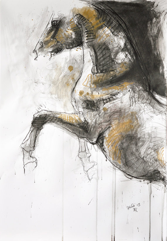 570x822 Rearing Up Horse Original Charcoal Drawing Of A Horse