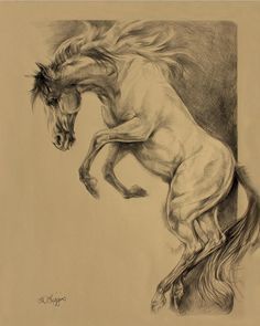 236x295 Sketches On Horse Drawings, Horse Sketch And Pegasus