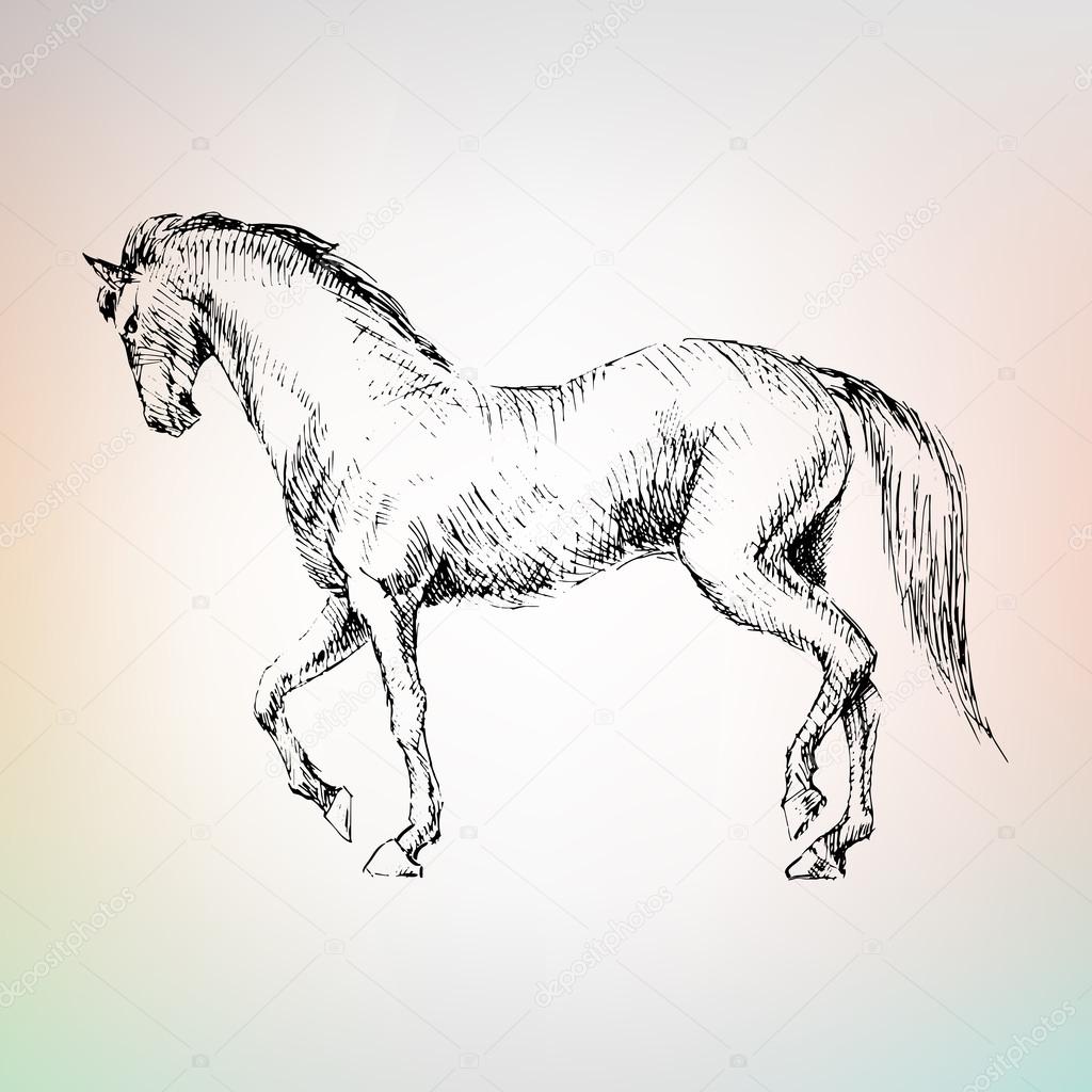 1024x1024 Horse Riding Walk, Hand Drawing Stock Vector Lemyppp