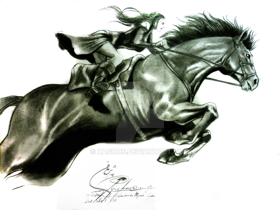 900x675 The Horse Rider By Xagros