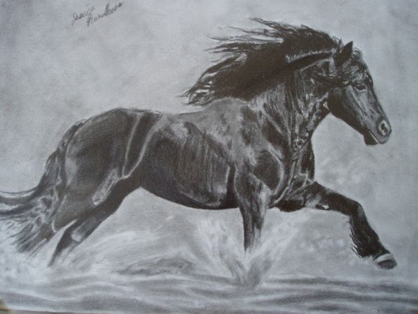 600x450 Cool Horse Drawings For Inspiration Horse Drawings, Horse