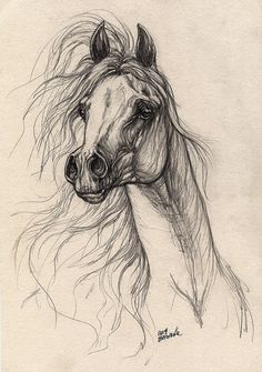 236x335 Horse Drawings Horse Sketches